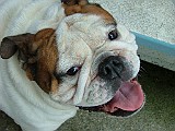 DSCF3669.JPG