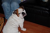 DSC_0977.JPG