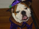 IMG_0009.JPG