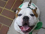 IMG_0020.JPG