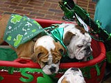 IMG_0023.JPG