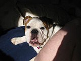 IMG_0026.JPG