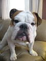 IMG_0036.JPG