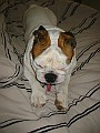 IMG_0055.jpg