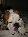 IMG_0057.jpg