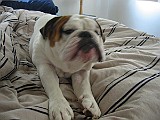 IMG_0058.jpg