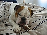 IMG_0059.jpg