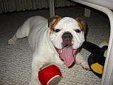 IMG_0109.JPG