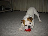 IMG_0110.JPG