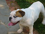 IMG_0131.JPG