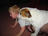 IMG_0165.JPG