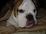IMG_0171.JPG
