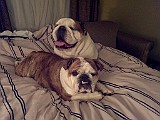 IMG_20110403_010059.jpg
