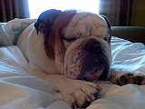 IMG_20110403_081636.jpg