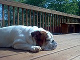 IMG_20110419_103856.jpg