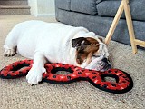 IPhone Pics 006 (2).JPG