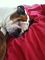 IPhone Pics 006 (3).JPG