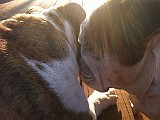 IPhone Pics 006.JPG