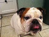 IPhone Pics 009 (3).JPG
