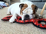 IPhone Pics 009.JPG