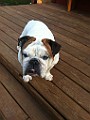 IPhone Pics 014.JPG