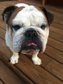 IPhone Pics 015.JPG