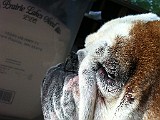 IPhone Pics 022.JPG