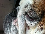 IPhone Pics 023.JPG