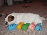 PC150015.JPG