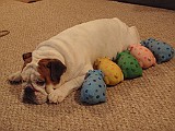 PC150018.JPG