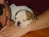 Tuffy'sFirstNightHome008.jpg
