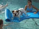 TuffyOnRaft2005.JPG