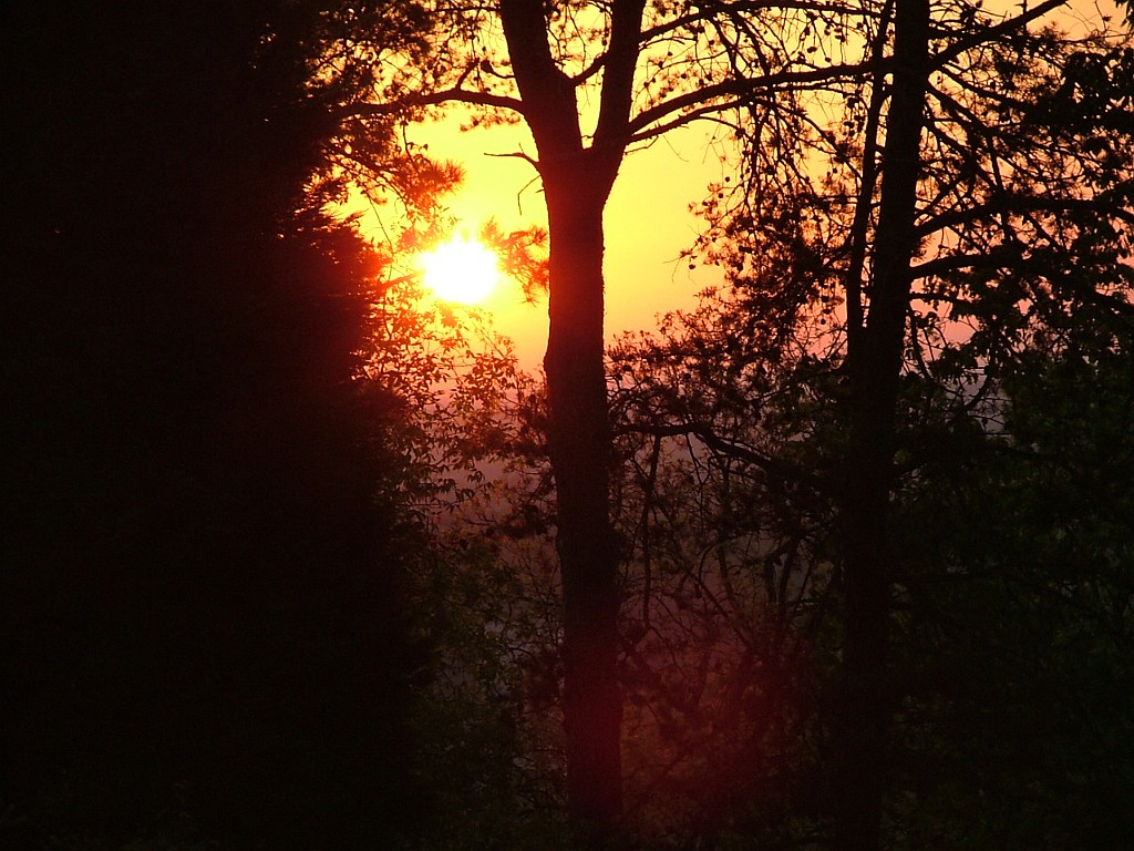 SunriseInMarietta