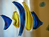 20090222_161940_.JPG