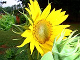 20090710_009.JPG