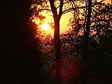 SunriseInMarietta.JPG