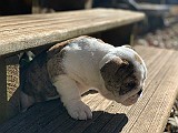 IMG_0614.jpg