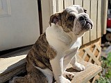 IMG_1337.jpg