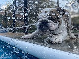 IMG_4568.jpg