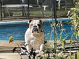 IMG_5789.jpg