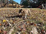 IMG_5854.jpg