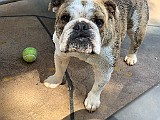 IMG_6161.jpg
